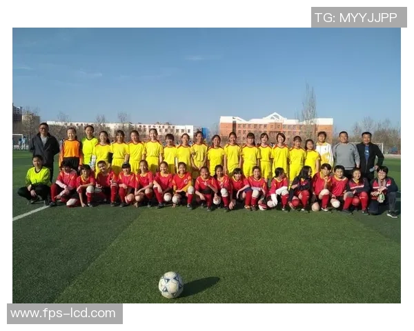 全明星阵容：汇聚全球顶尖足球天才，打造梦幻球队再度征战绿茵场